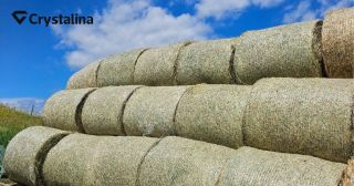 🌾 Za každým balíkom sena je kus starostlivosti a lásky ku koňom 🐴 Pre nás, ktorí chováme kone, seno nie je len „tráva“ –...