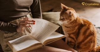 🐾 Medzinárodný deň mačiek 🐾 Dnes oslavujeme všetky huňaté stvorenia, ktoré vnášajú pokoj, lásku aj tajomstvo do našich...