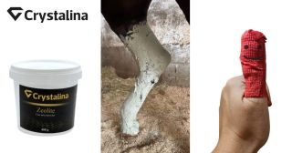 🩹 Zeolit – must-have do lekárničky pre každého chovateľa! 🐾 Tento prírodný minerál by vám mohol zachrániť situáciu, keď...